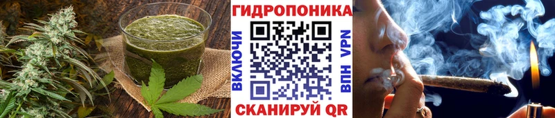 закладка  Сальск  KRAKEN как войти  Еда ТГК конопля 