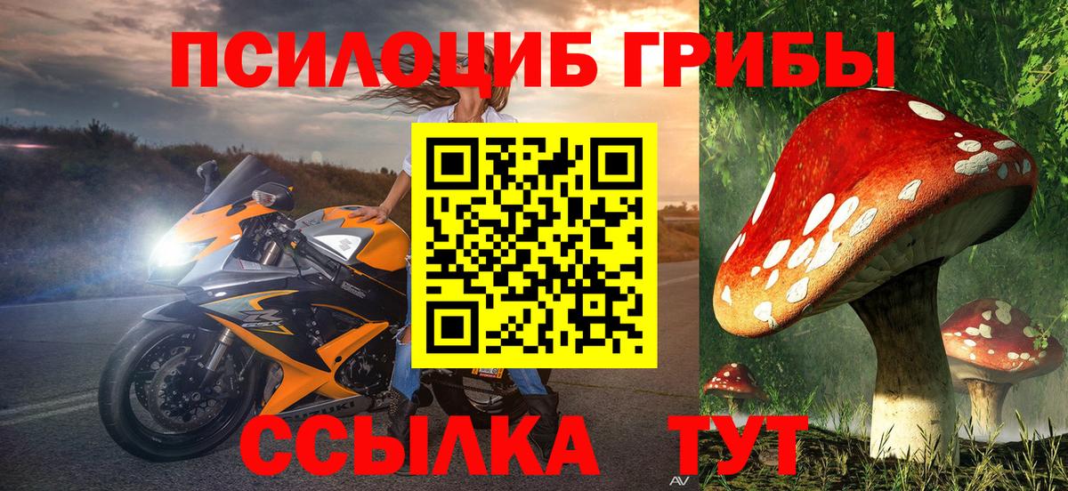 Псилоцибиновые грибы прущие грибы  Вход с VPN  Сальск  Галлюциногенные грибы Cubensis 