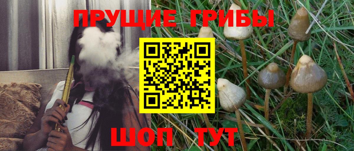 Гашиш  Сальск  ГАШИШ  Кокаин  Меф МЯУ МЯУ кристаллы  МАРИХУАНА  Вход с VPN 